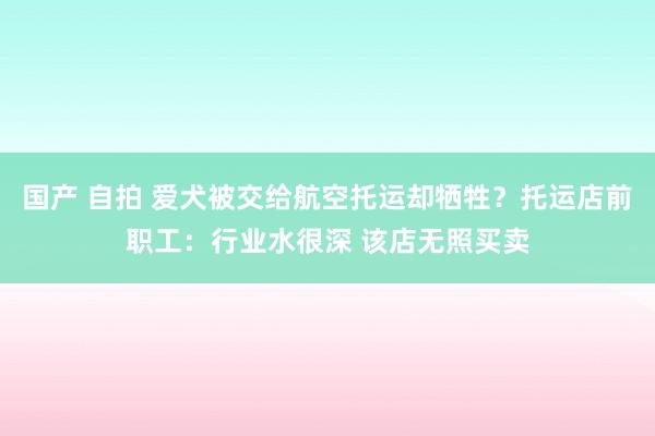 国产 自拍 爱犬被交给航空托运却牺牲？托运店前职工：行业水很深 该店无照买卖